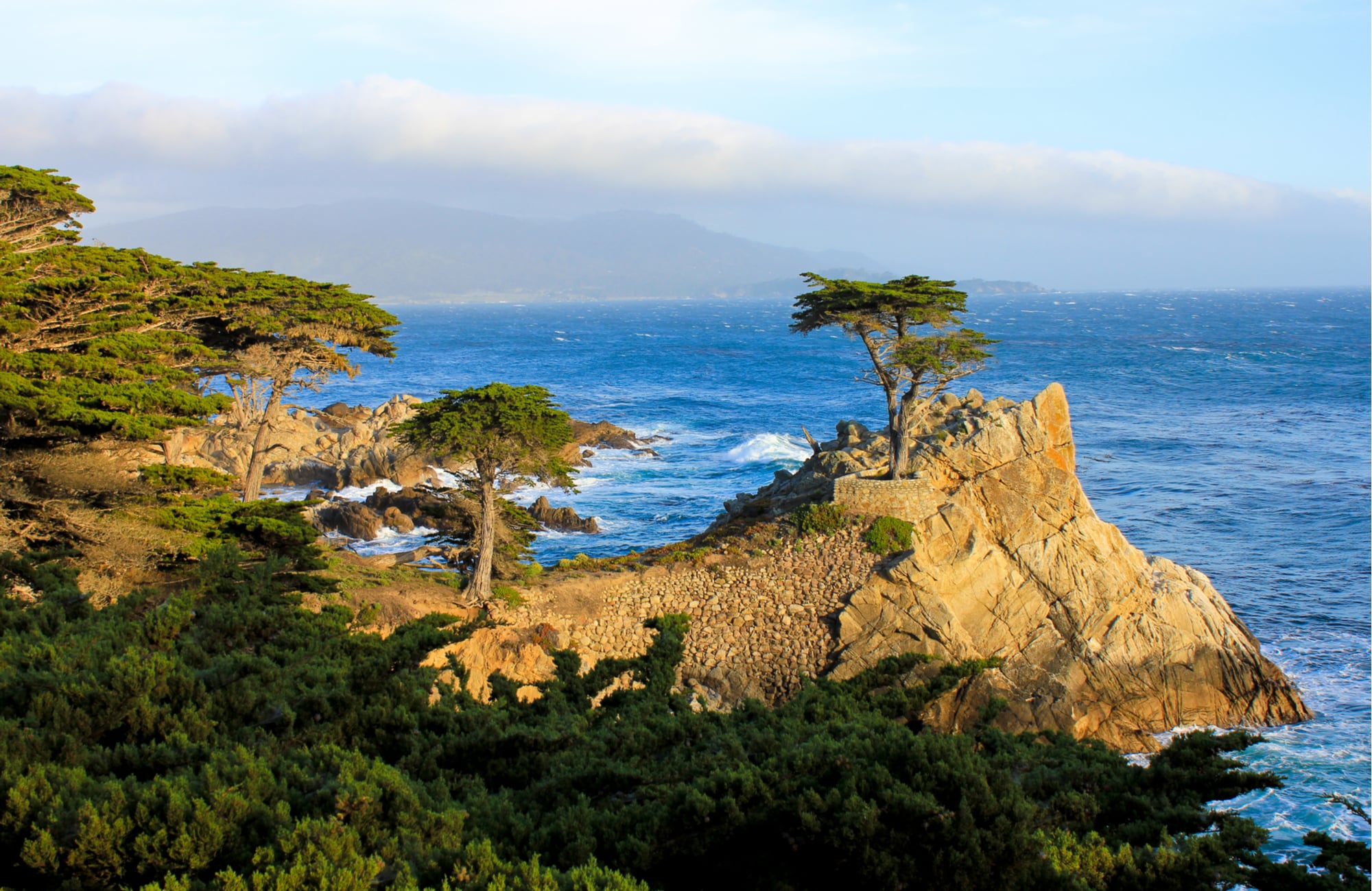 Pebble Beach Dental Header